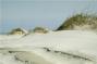Sand Dunes